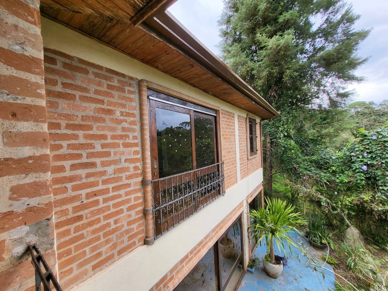 Chácara, 3 quartos, 1000 m² - Foto 11