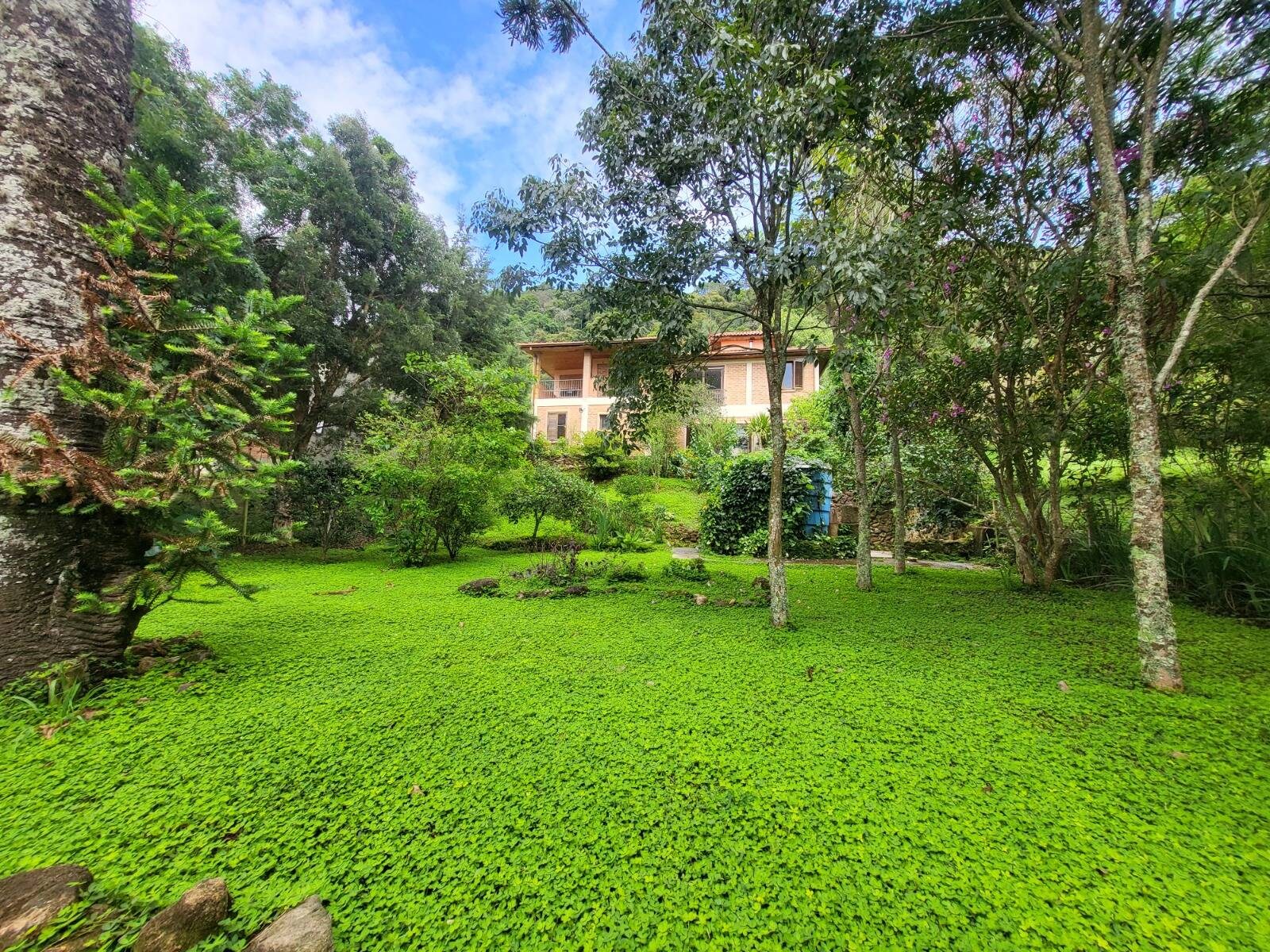 Chácara, 3 quartos, 1000 m² - Foto 16