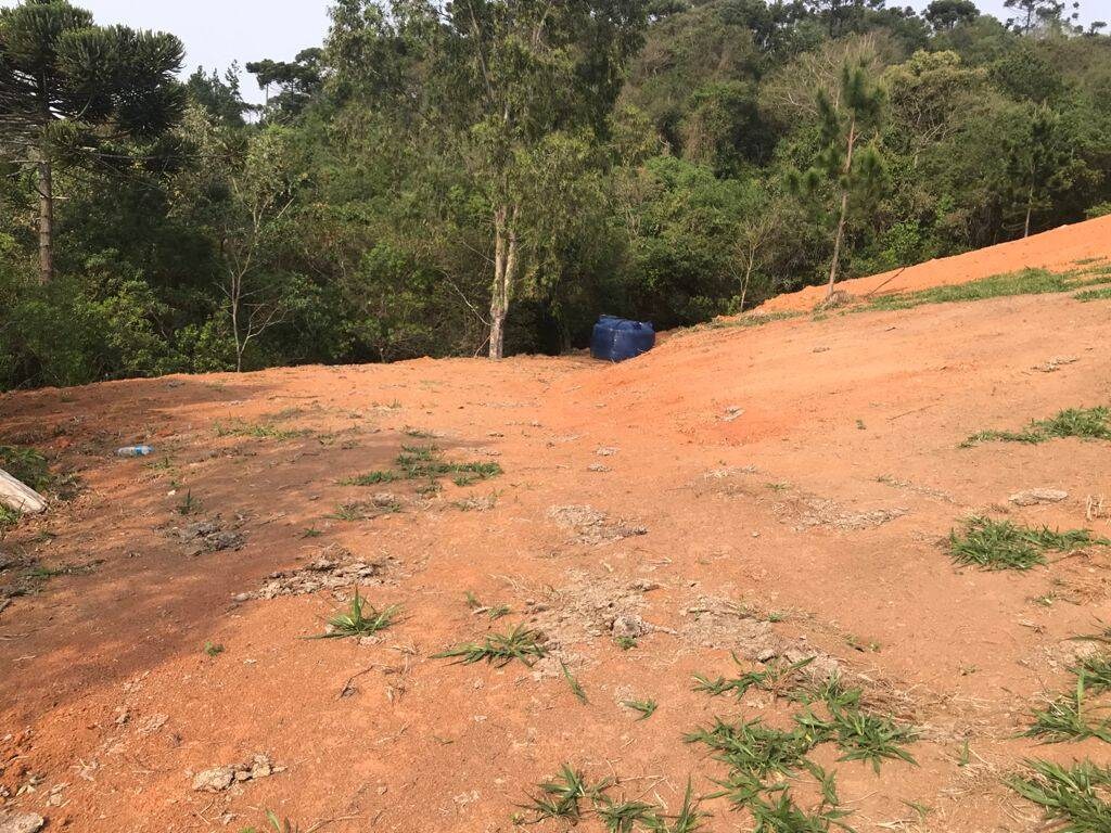 Terreno, 8000 m² - Foto 10