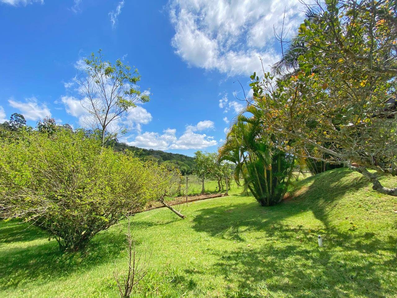 Sítio, 6 quartos, 6 hectares - Foto 14