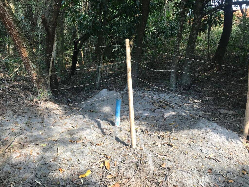 Terreno, 8000 m² - Foto 20