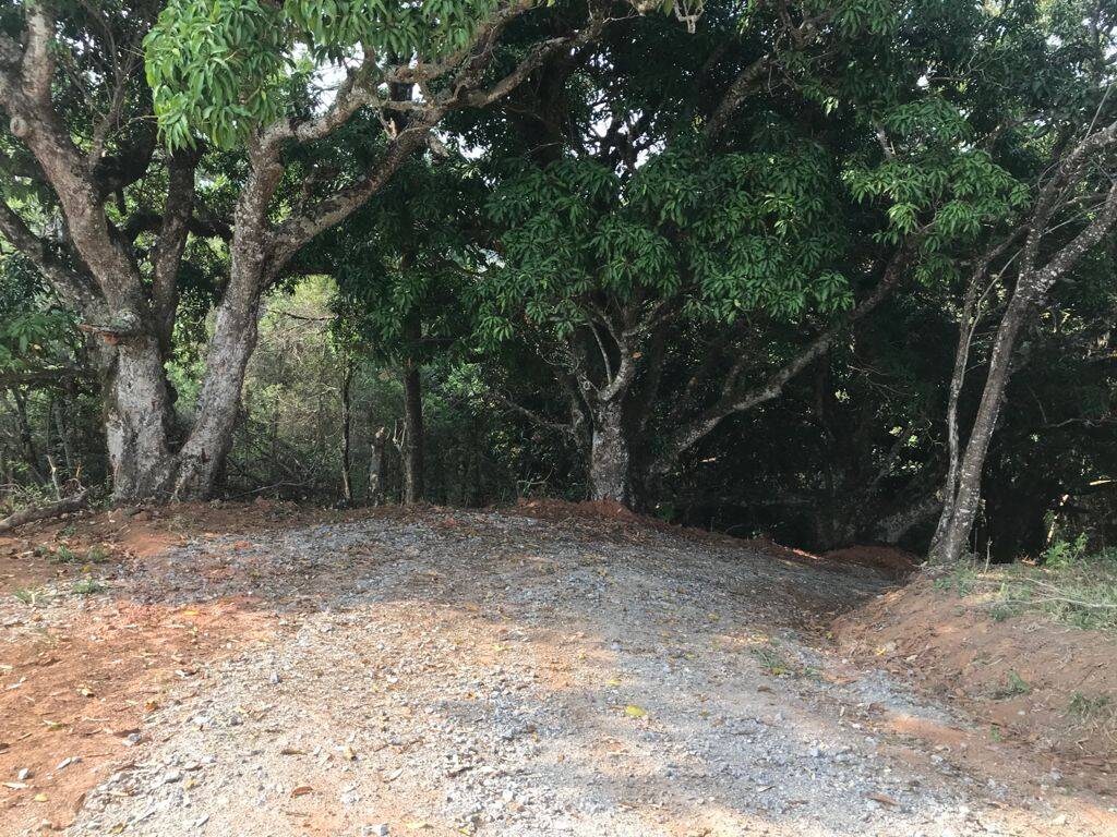 Terreno, 8000 m² - Foto 14