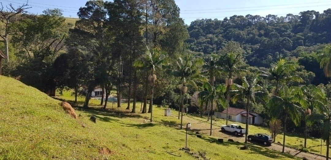 Chácara, 7 quartos, 4 hectares - Foto 11