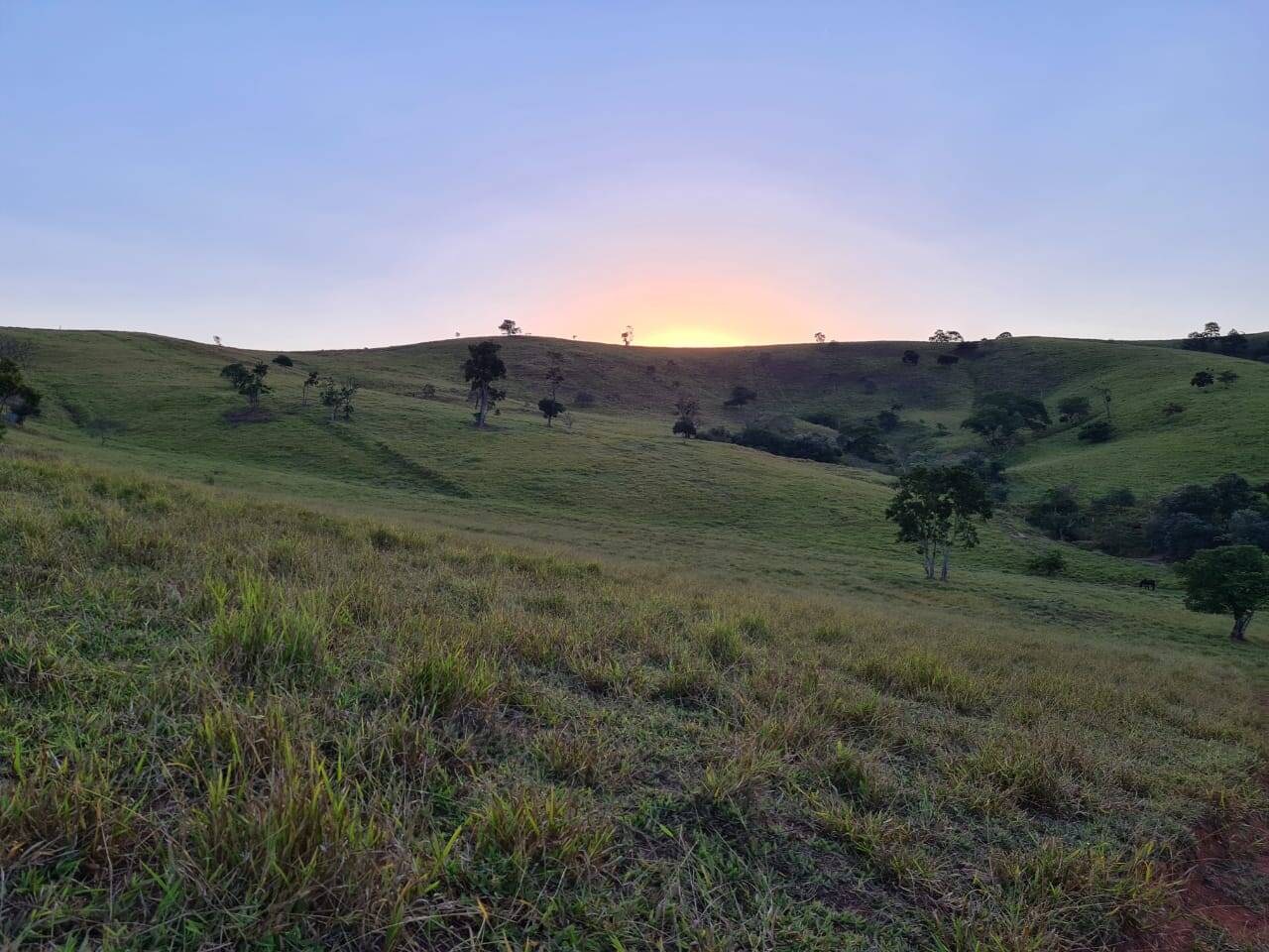Sítio, 4 quartos, 605 hectares - Foto 20