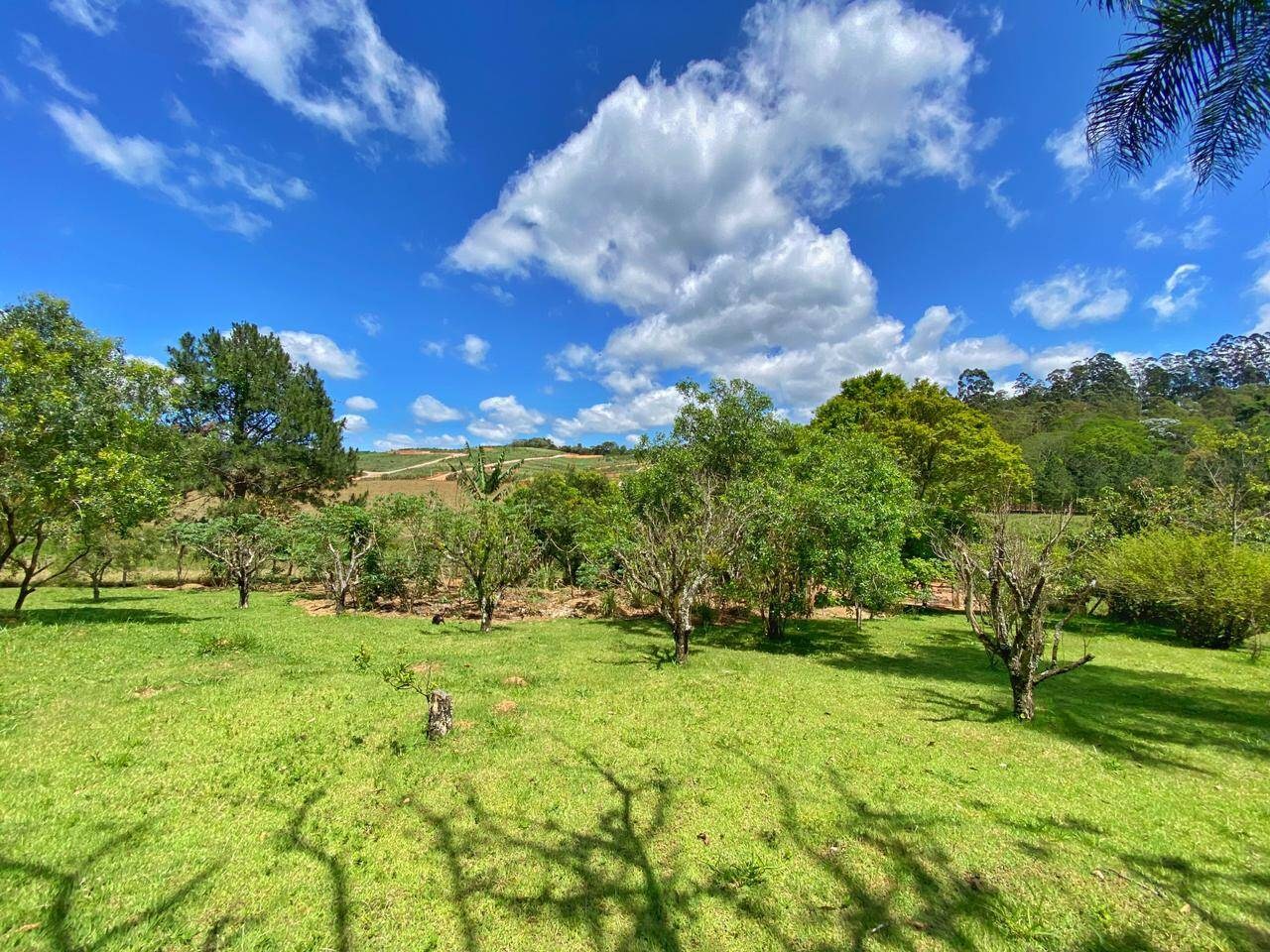 Sítio, 6 quartos, 6 hectares - Foto 16