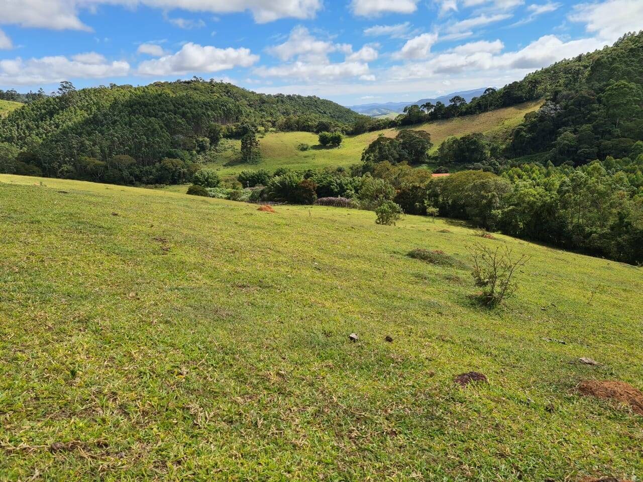 Sítio, 3 quartos, 51 hectares - Foto 24
