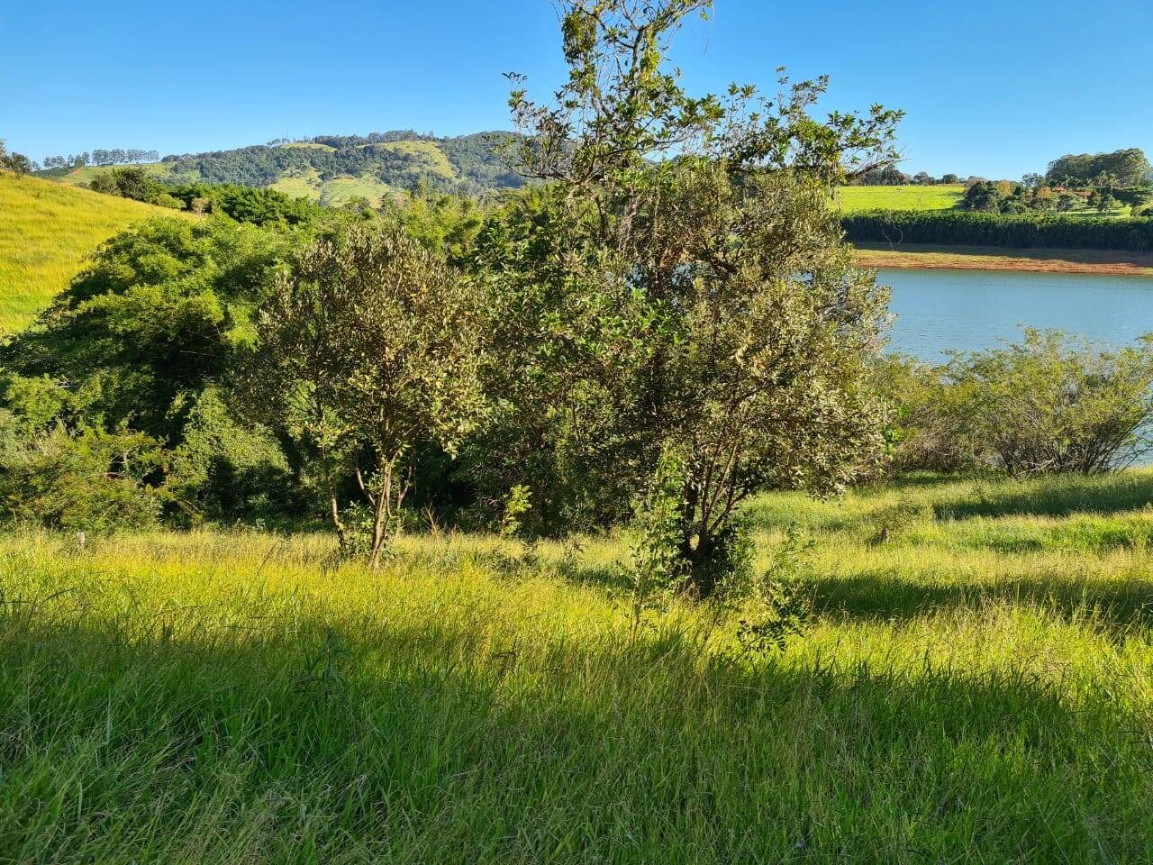 Terreno, 2 hectares - Foto 15