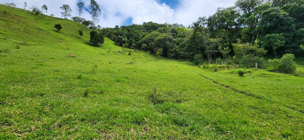 Sítio, 2 quartos, 12 hectares - Foto 6