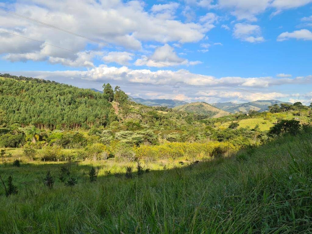 Terreno, 1000 m² - Foto 1