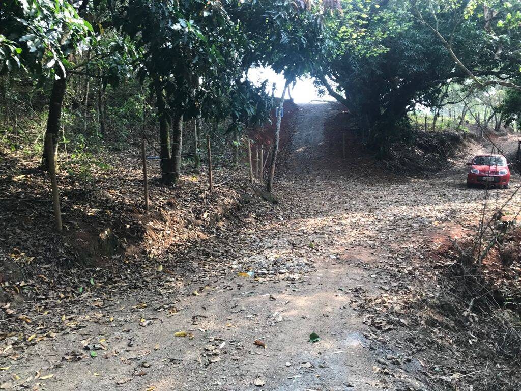 Terreno, 8000 m² - Foto 21