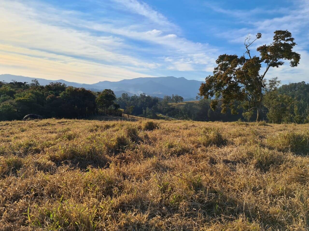 Chácara, 2 quartos, 10 hectares - Foto 25