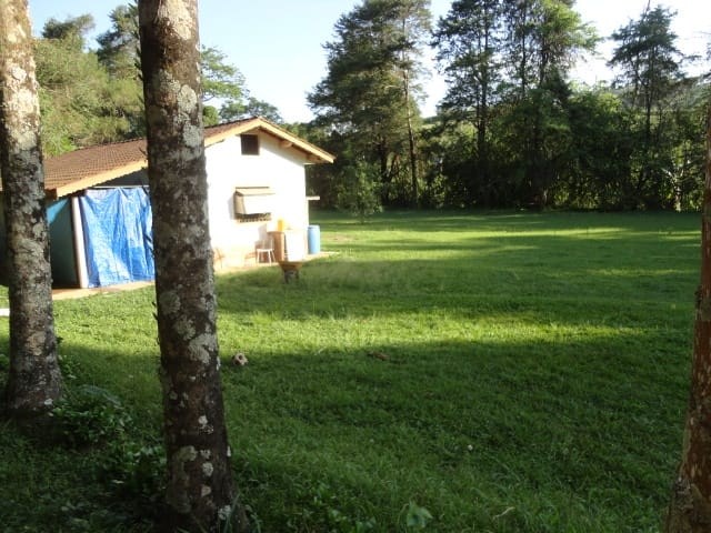 Sítio, 3 quartos, 4 hectares - Foto 5