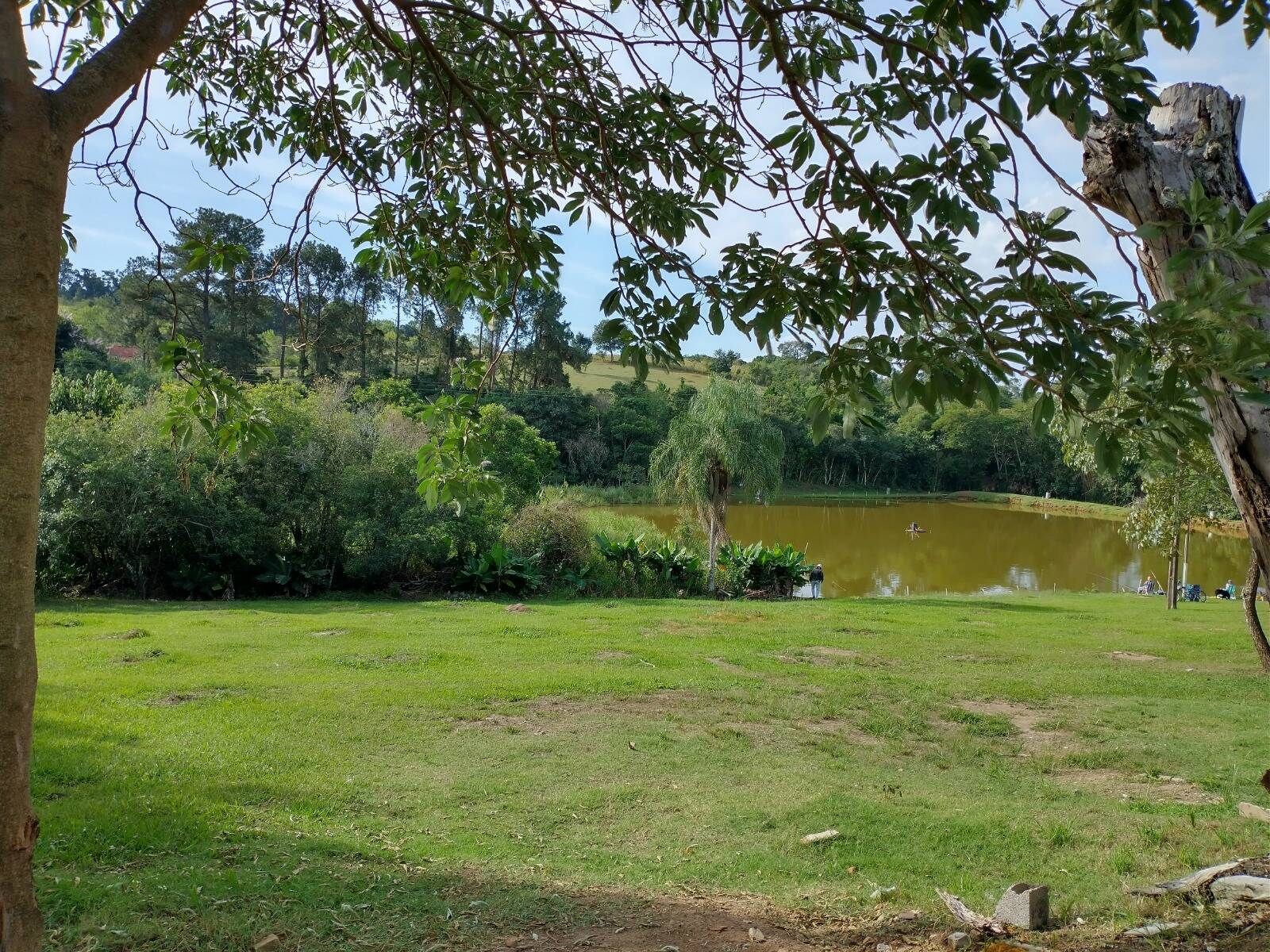 Chácara, 2 hectares - Foto 2