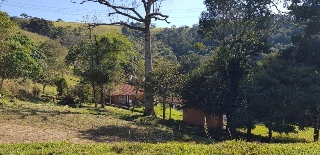 Chácara, 7 quartos, 4 hectares - Foto 25