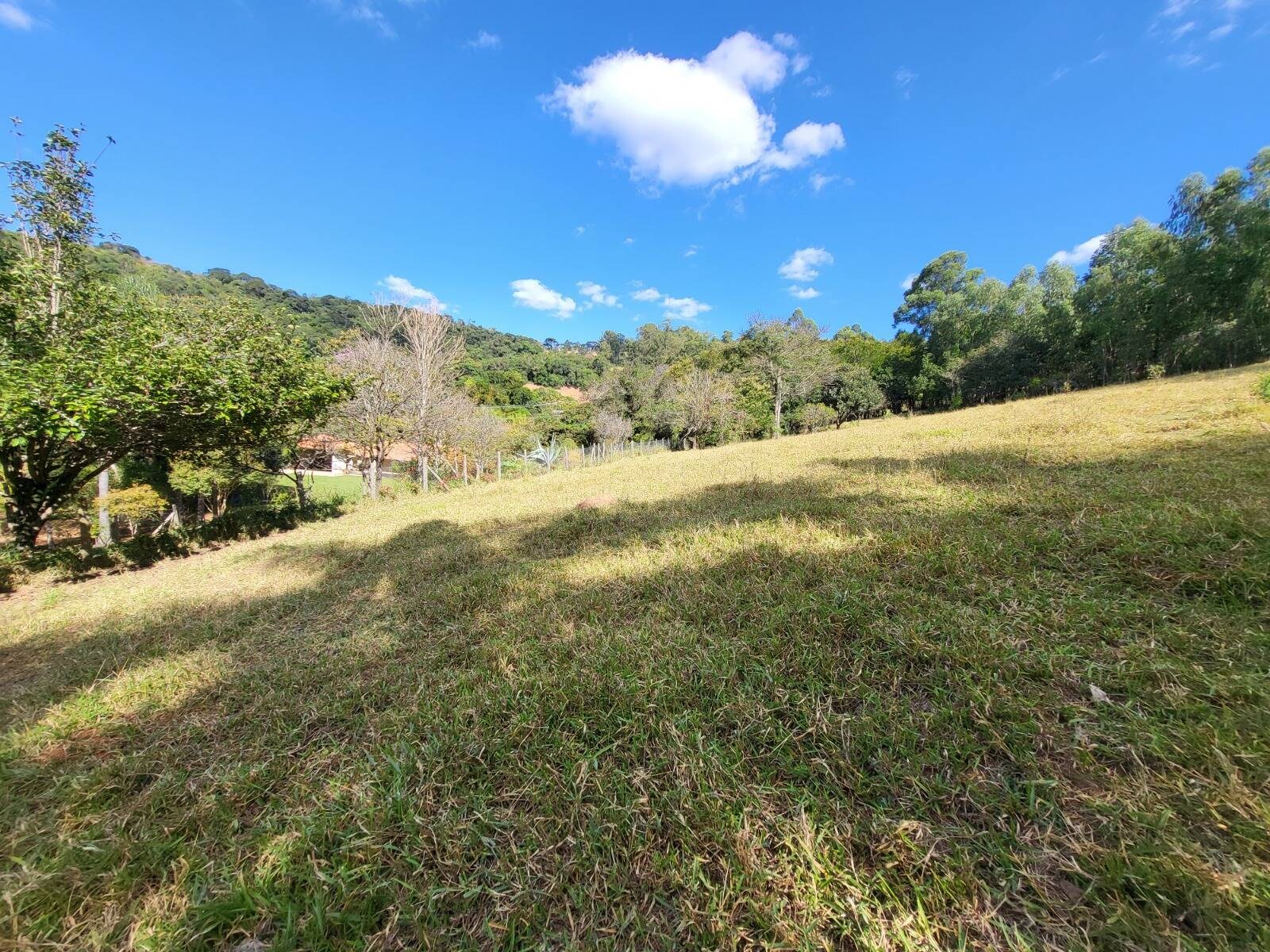 Sítio, 3 quartos, 4 hectares - Foto 10