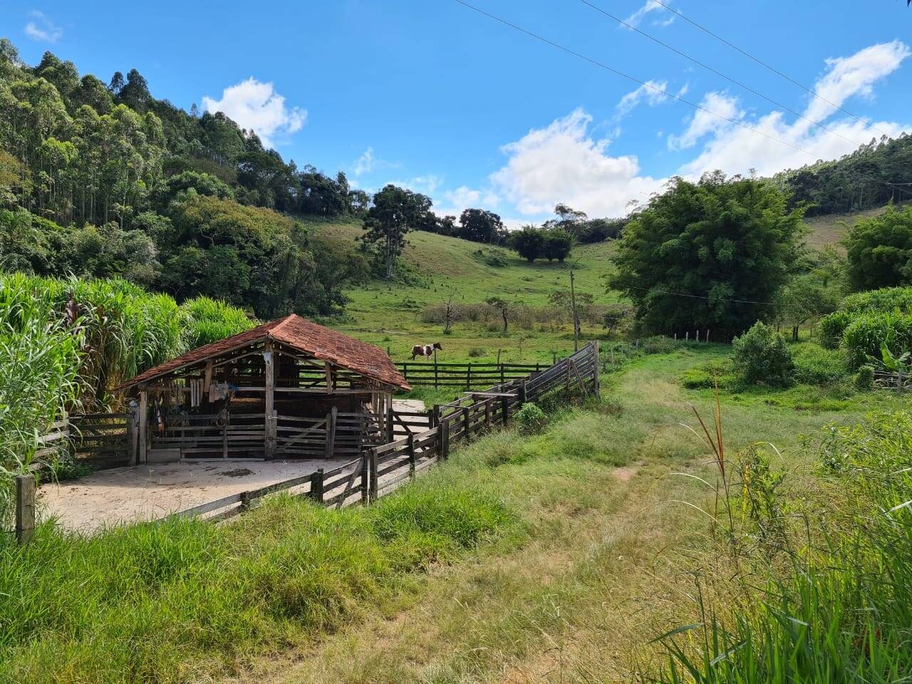 Sítio, 3 quartos, 51 hectares - Foto 18