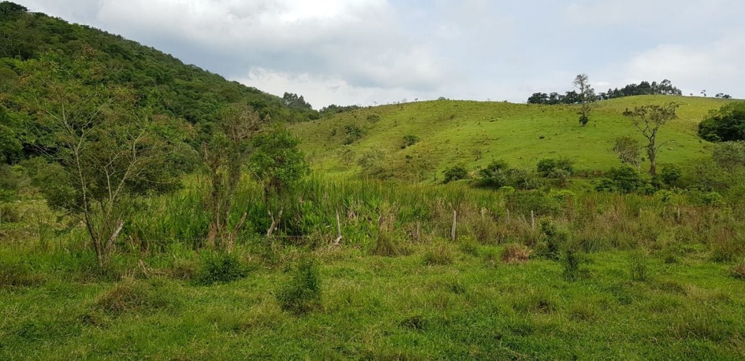 Sítio, 5 quartos, 27 hectares - Foto 13