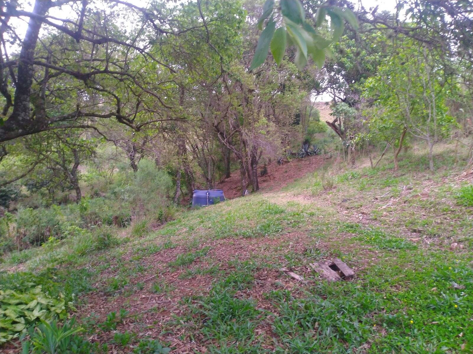 Sítio, 4 quartos, 2 hectares - Foto 12
