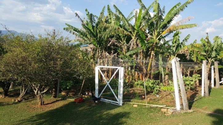 Sítio, 3 quartos, 3 hectares - Foto 19