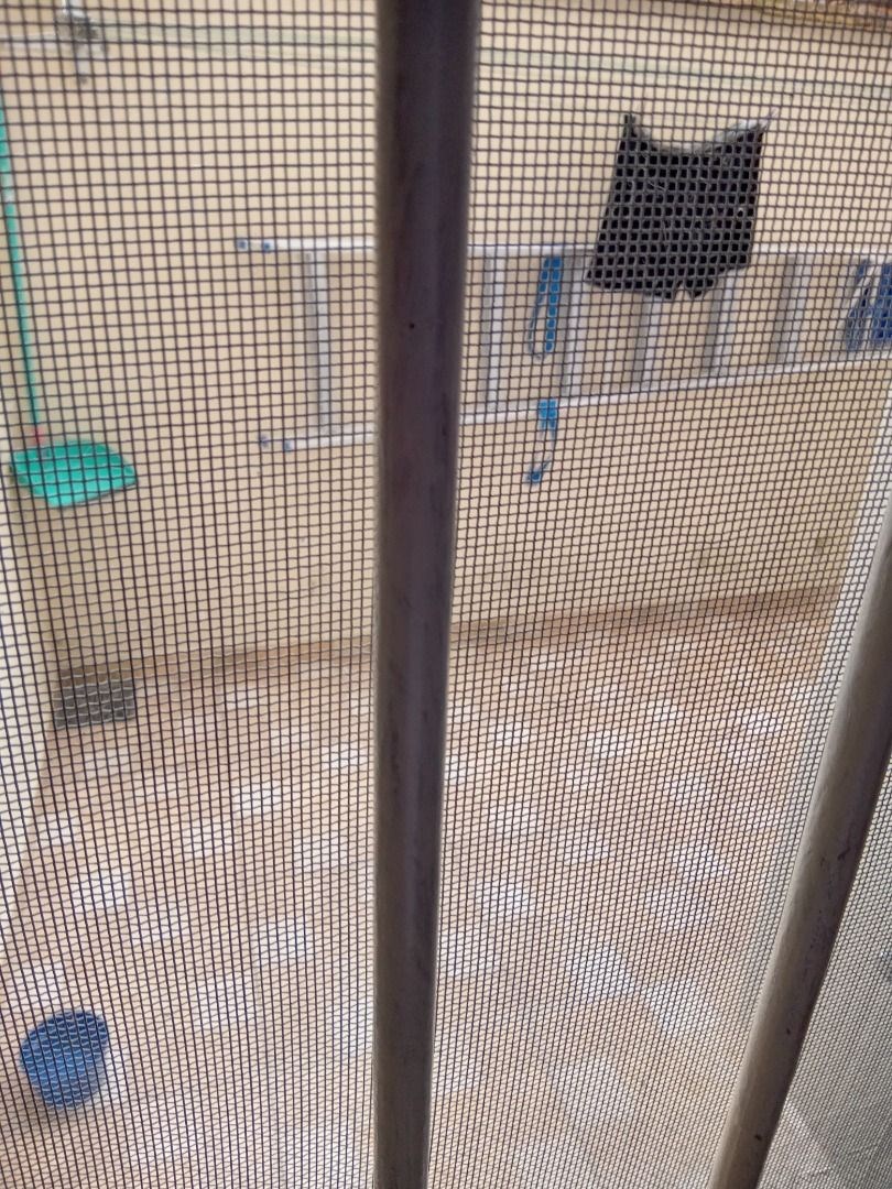 Sobrado, 2 quartos - Foto 23