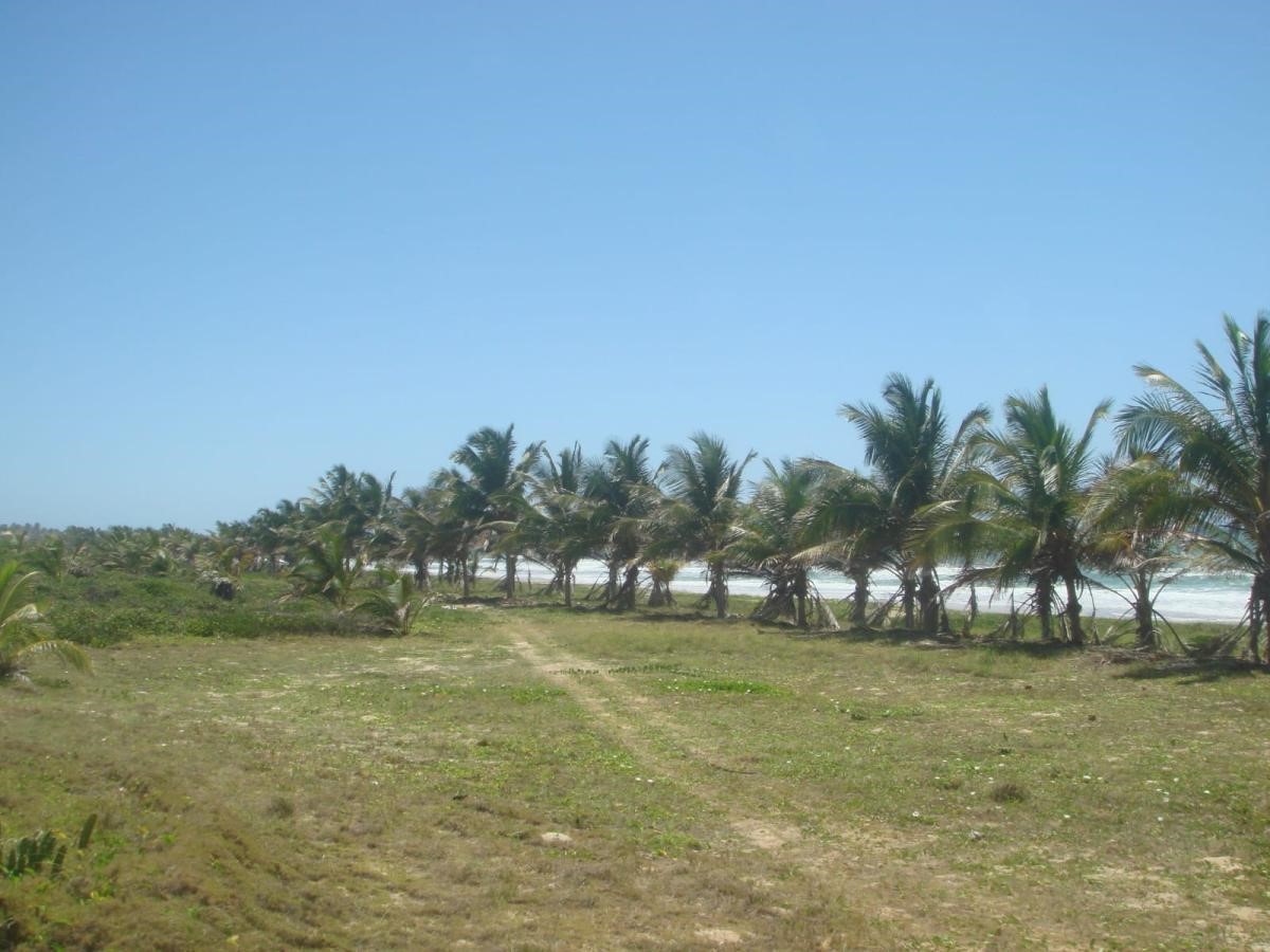 Terreno, 5 hectares - Foto 4