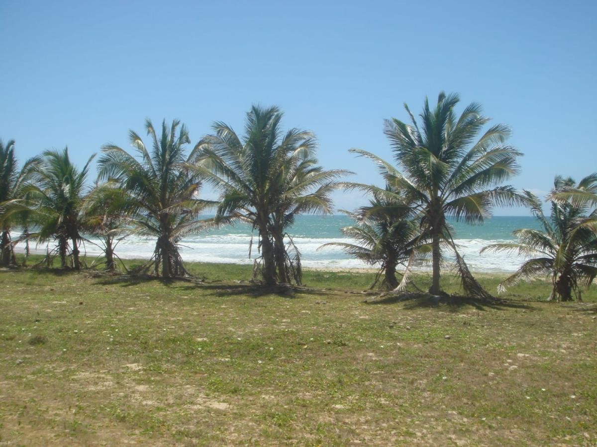 Terreno, 5 hectares - Foto 2