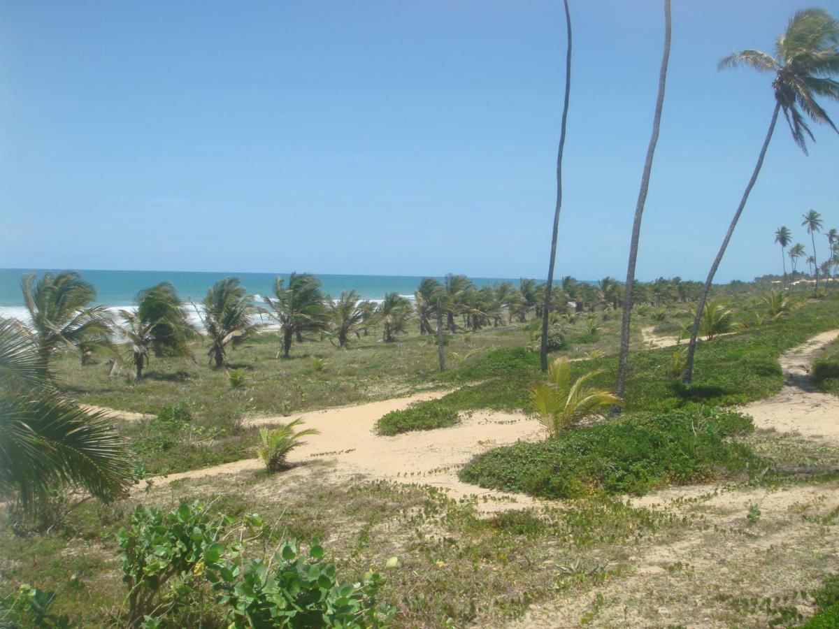 Terreno, 5 hectares - Foto 3