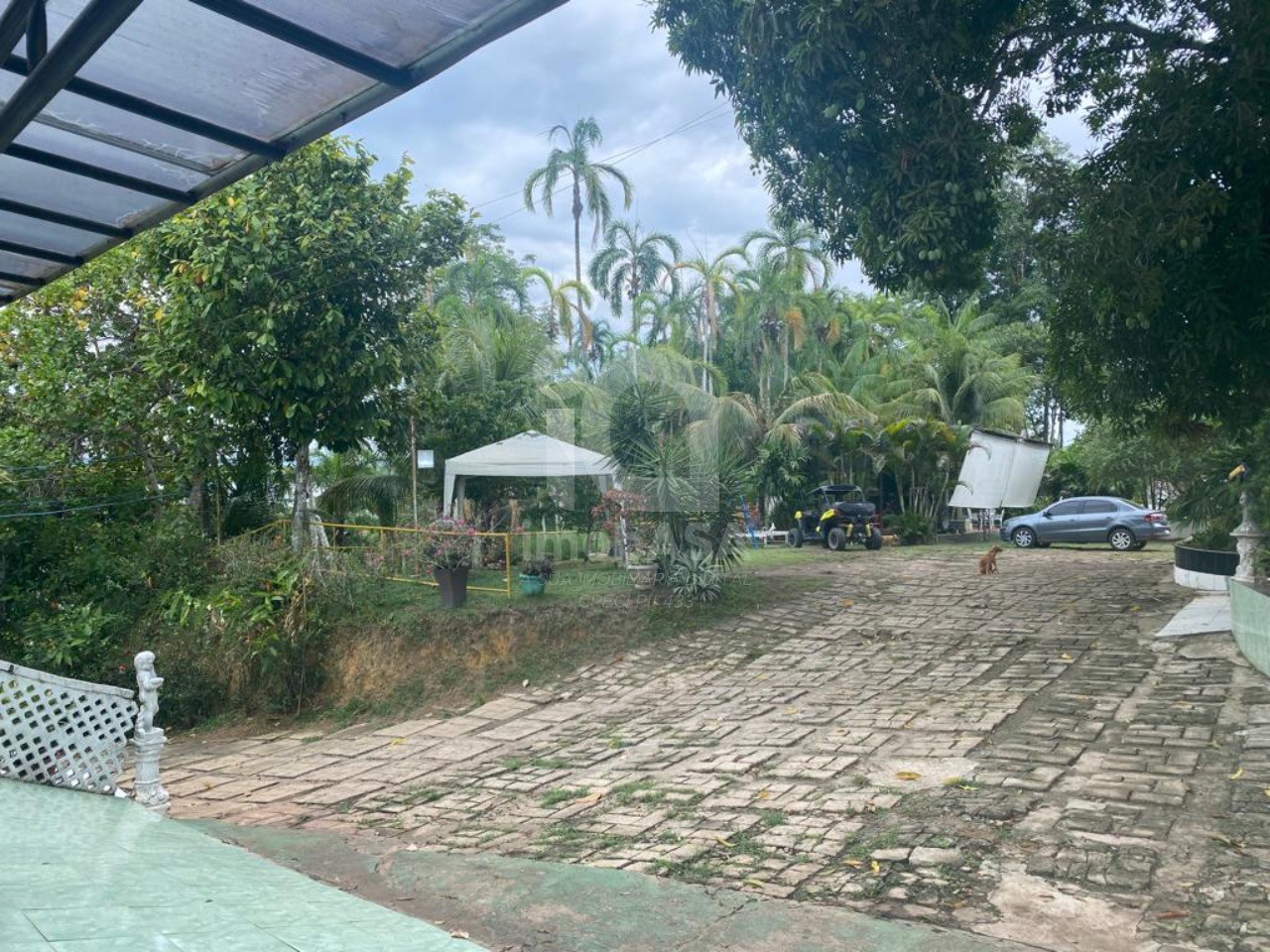 Fazenda, 23 hectares - Foto 17
