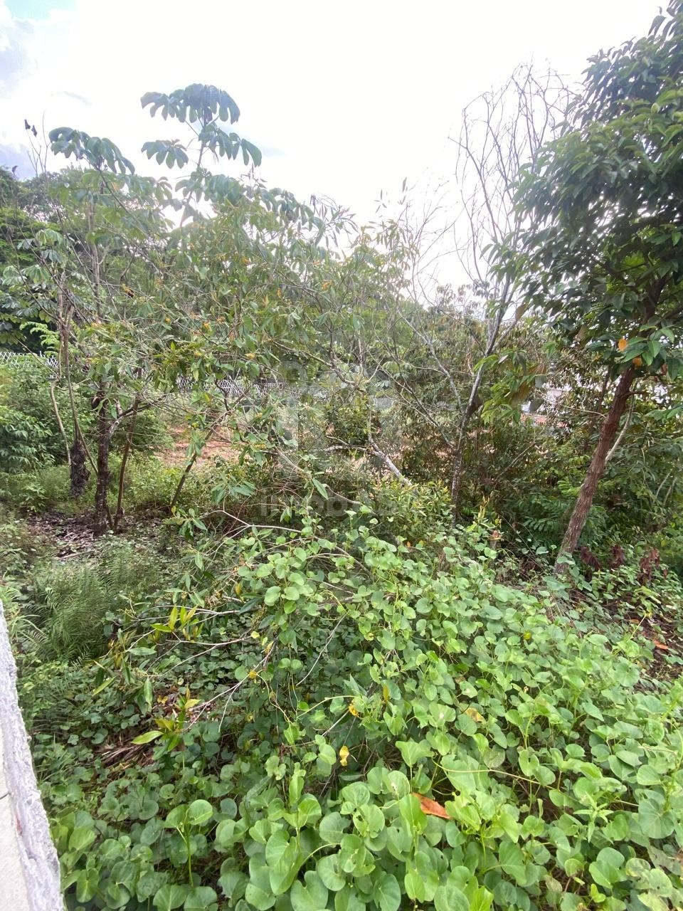 Terreno, 250 m² - Foto 2
