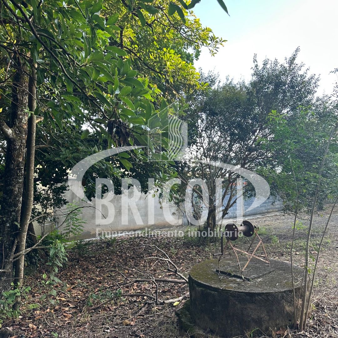 Terreno, 800 m² - Foto 7
