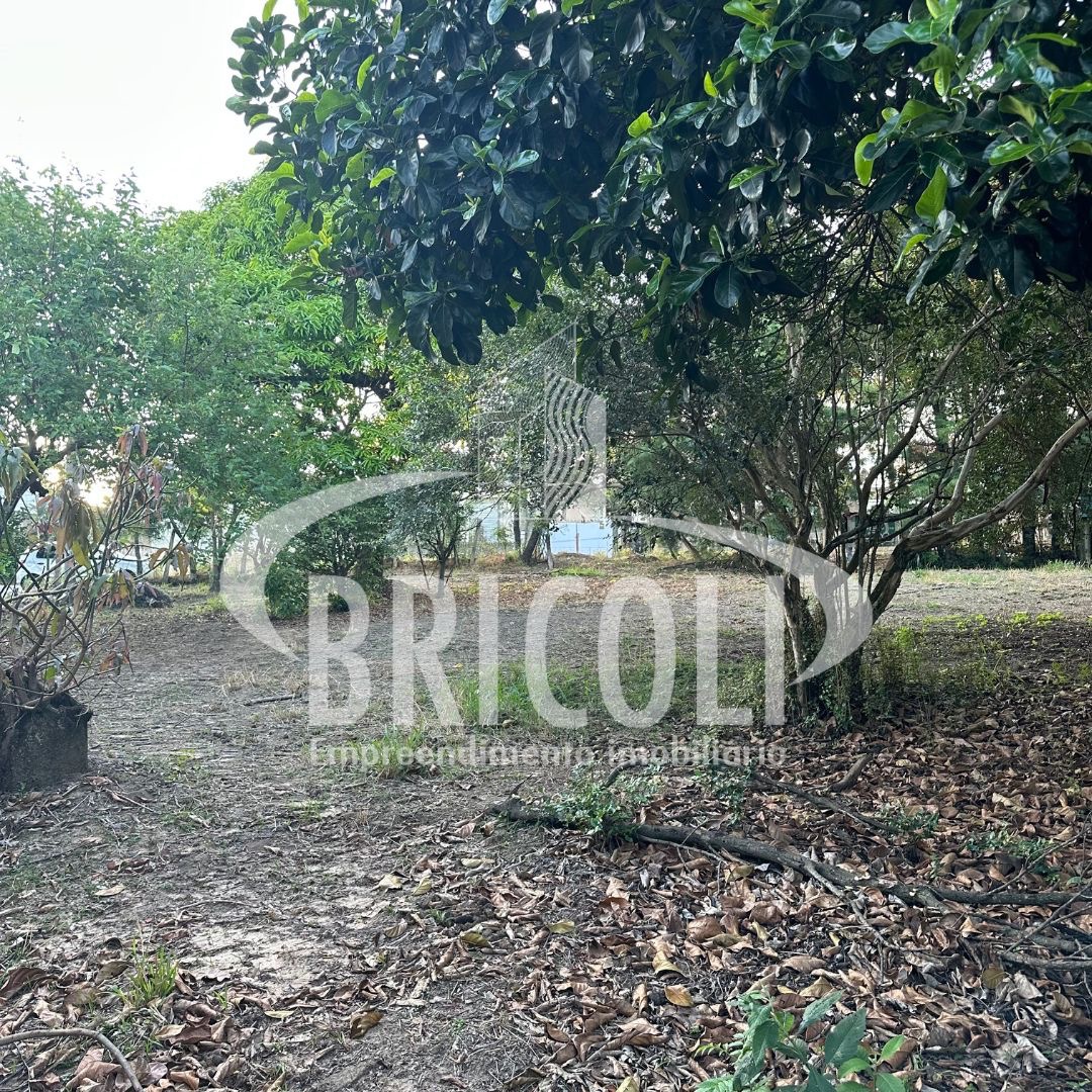 Terreno, 800 m² - Foto 4