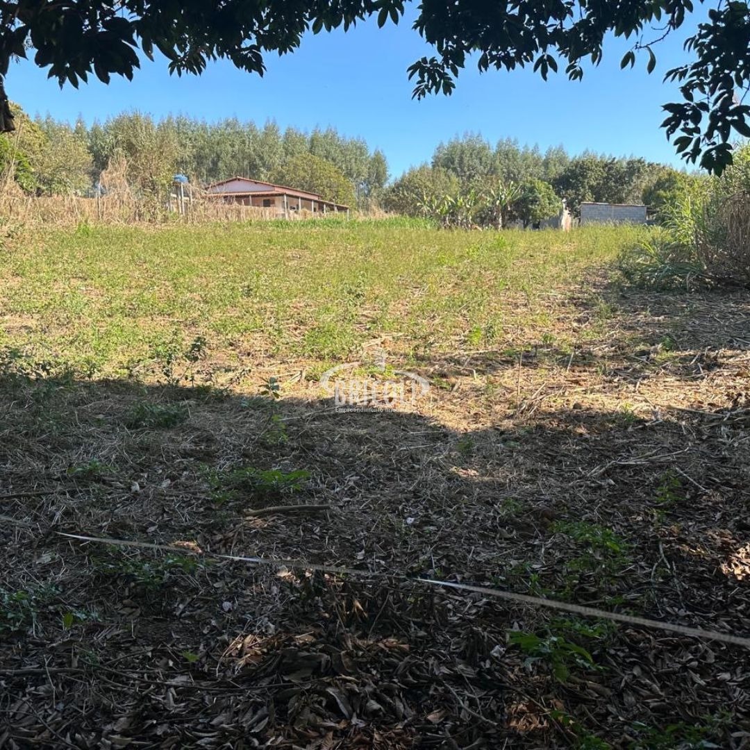 Terreno, 2386 m² - Foto 5