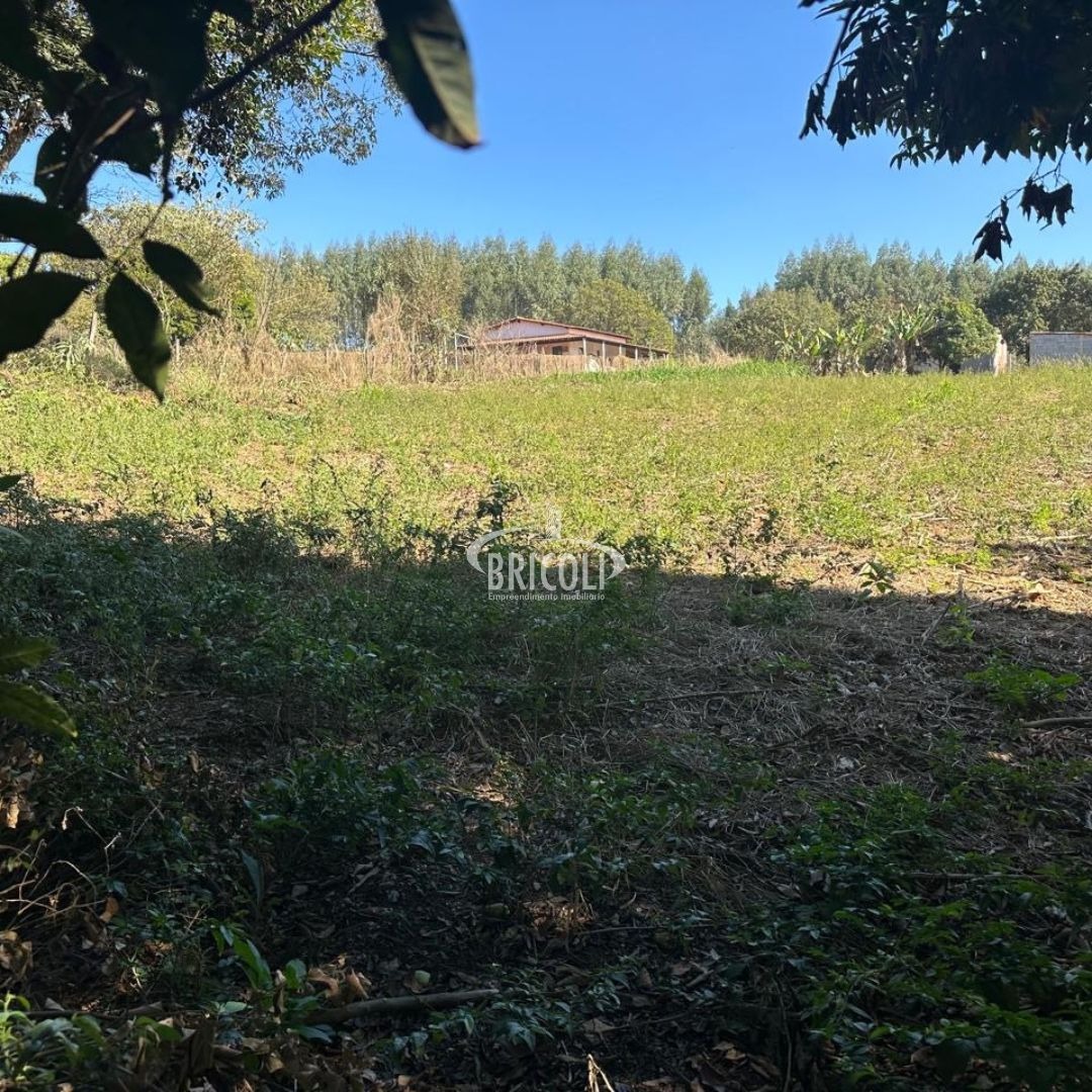 Terreno, 2386 m² - Foto 2