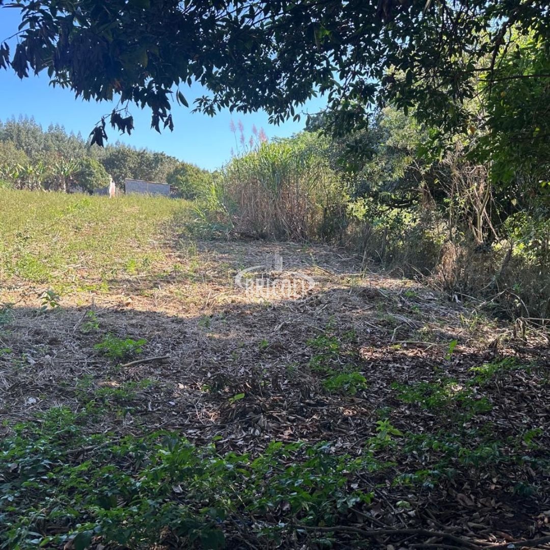 Terreno, 2386 m² - Foto 3