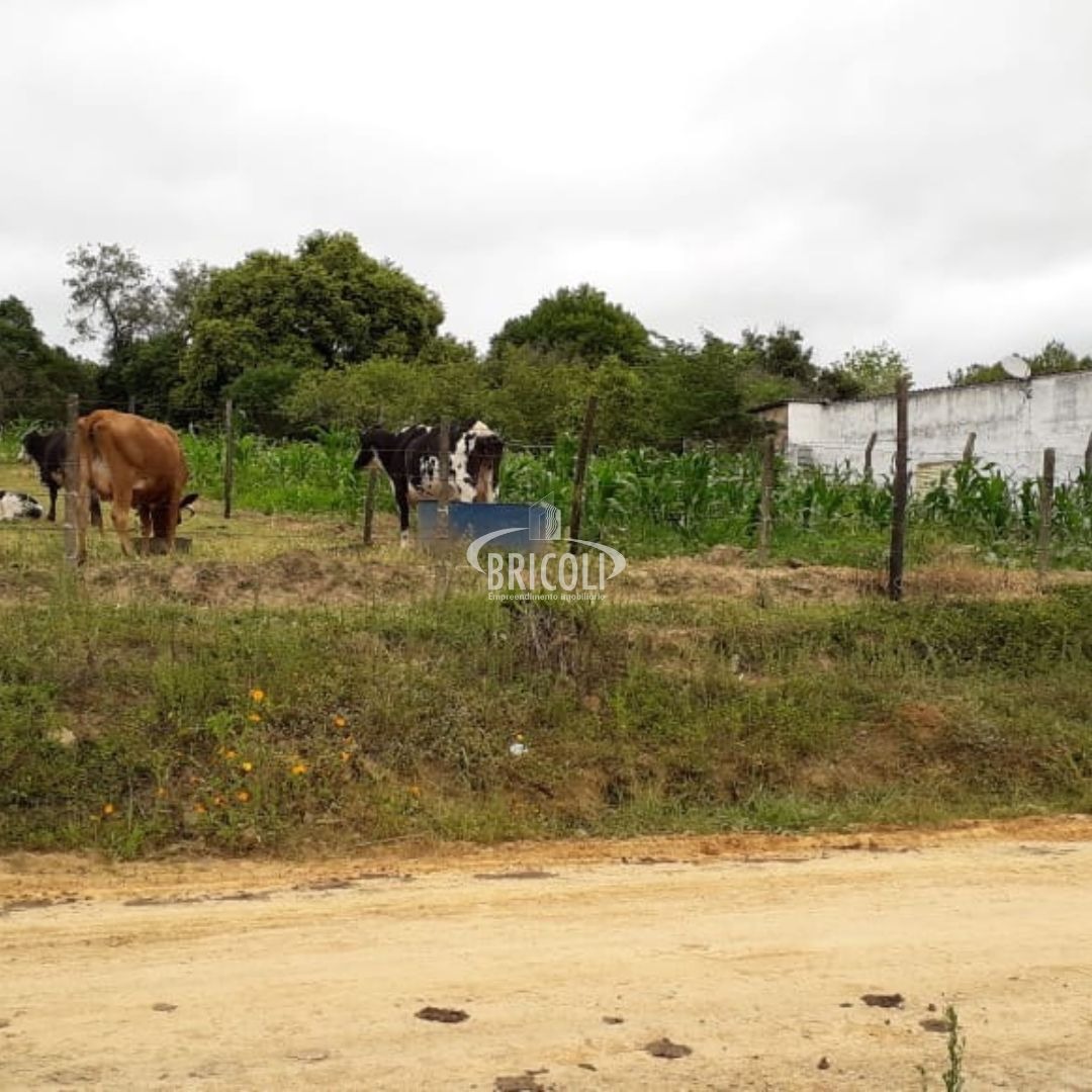 Terreno, 2800 m² - Foto 1