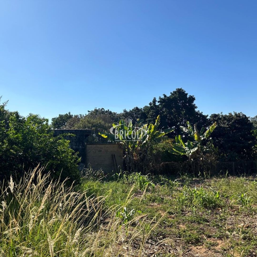 Terreno, 2386 m² - Foto 8
