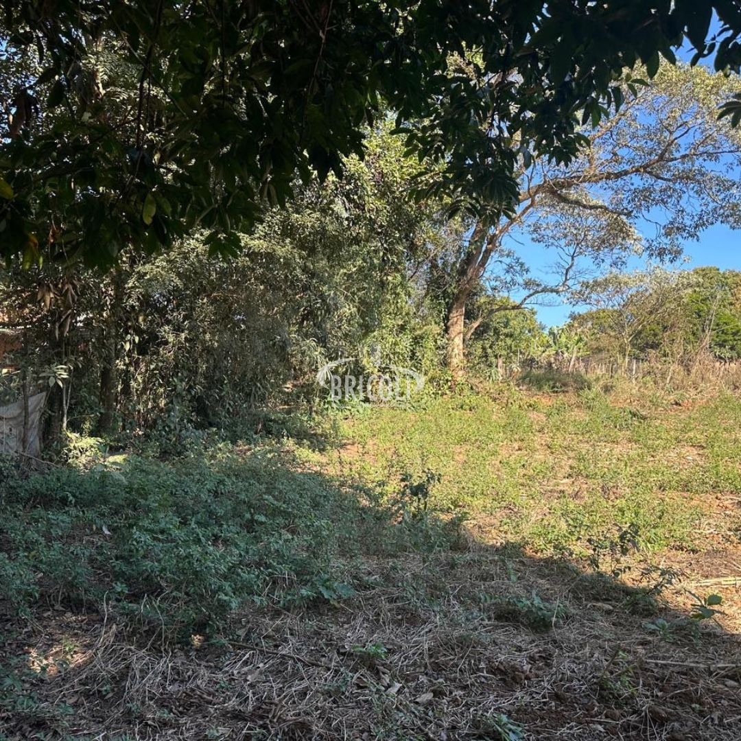 Terreno, 2386 m² - Foto 4