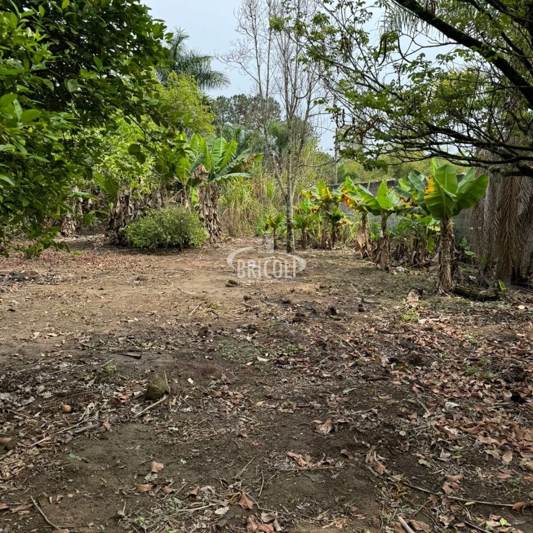 Chácara, 1 quarto - Foto 4