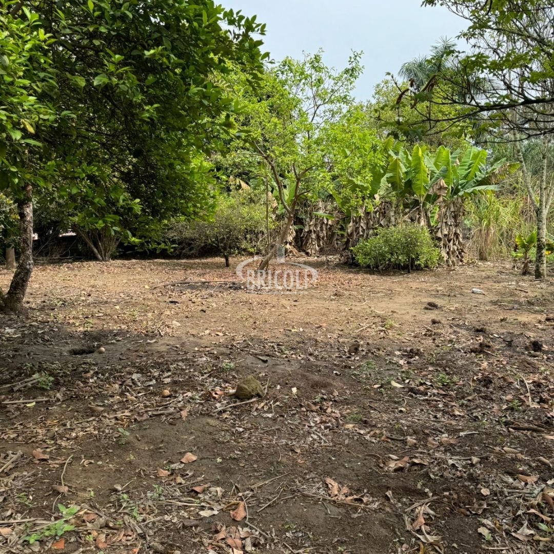 Chácara, 1 quarto - Foto 2