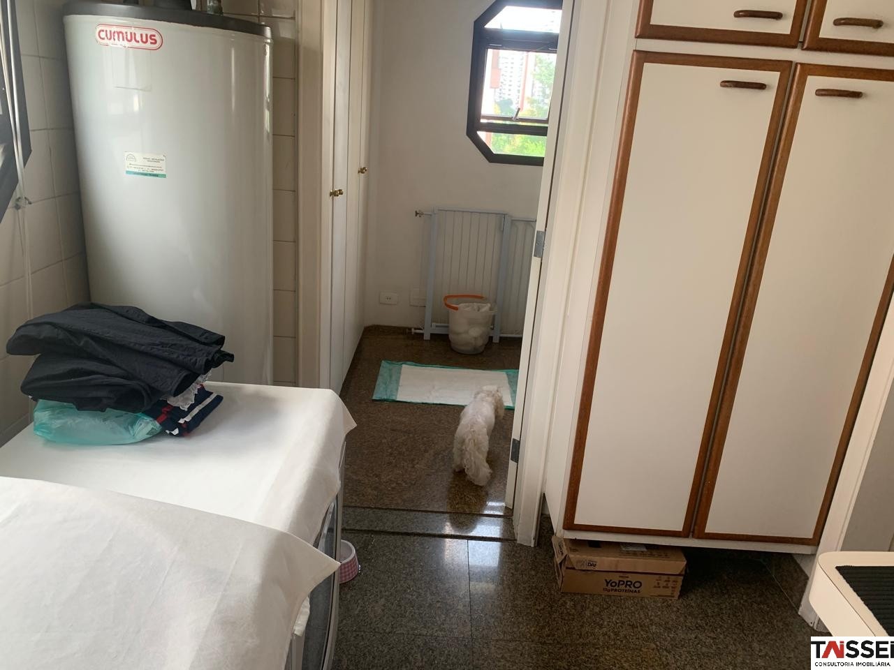 Apartamento, 4 quartos, 178 m² - Foto 20