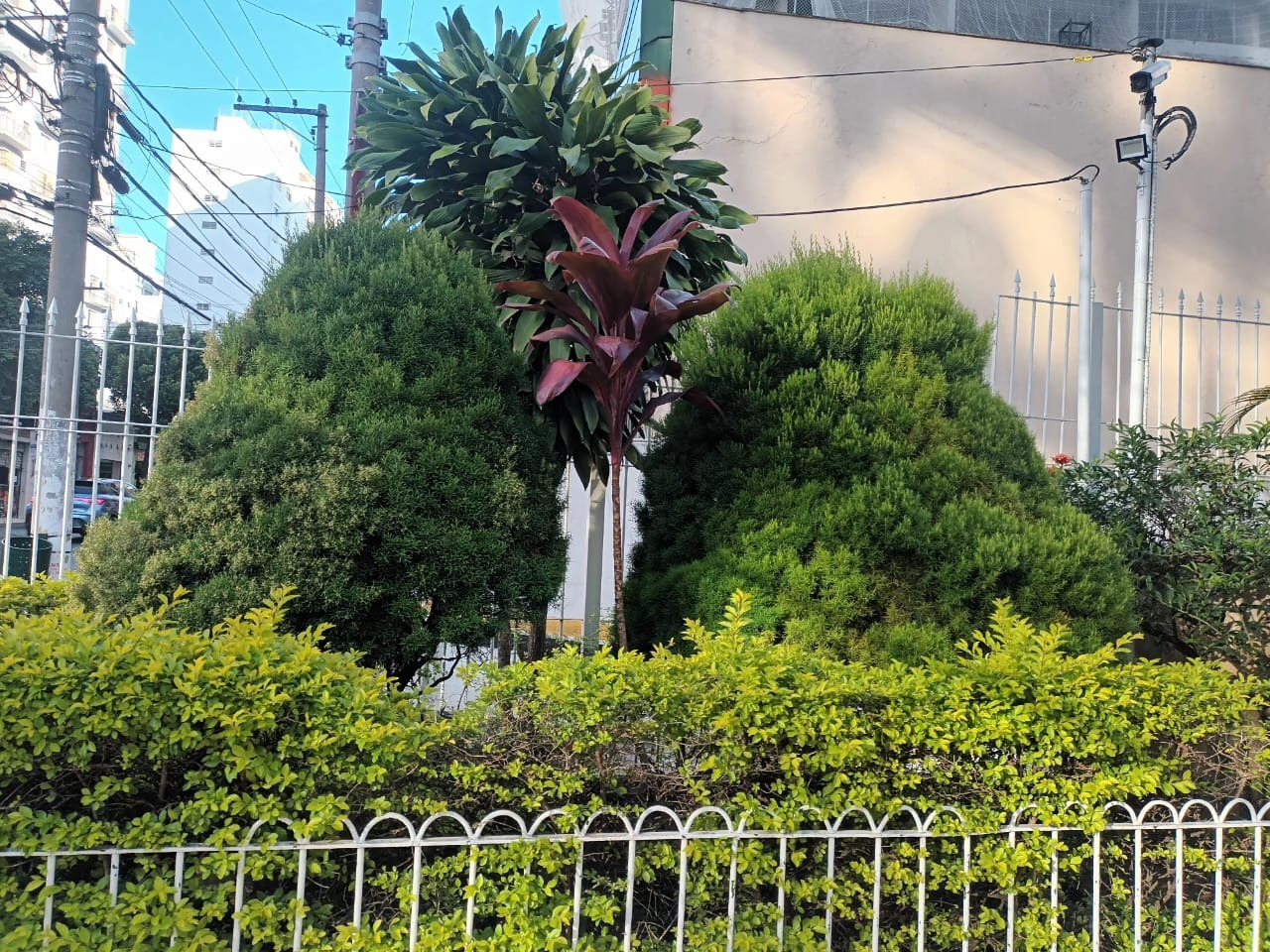Apartamento, 2 quartos, 54 m² - Foto 18