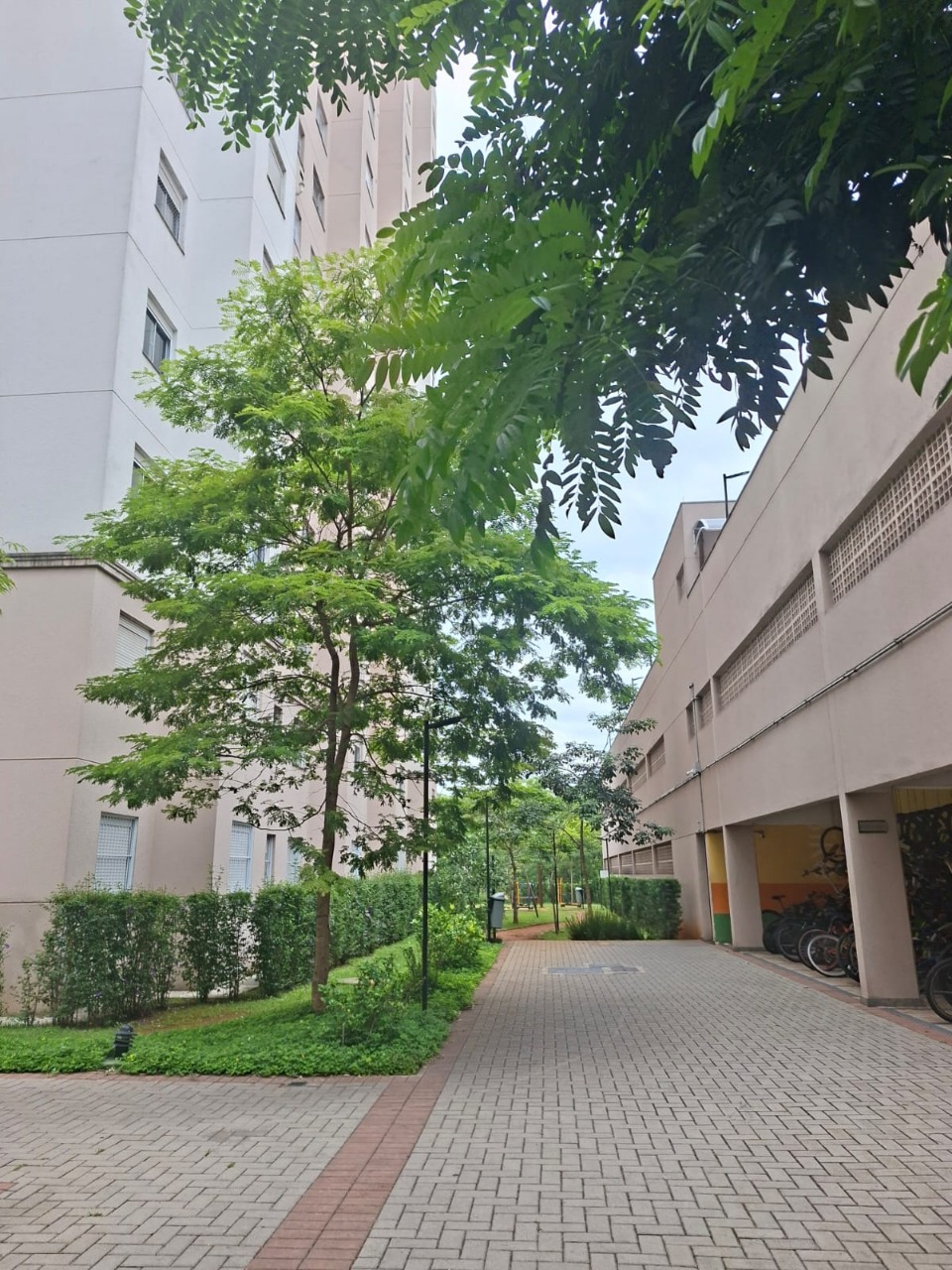 Apartamento, 2 quartos, 40 m² - Foto 32