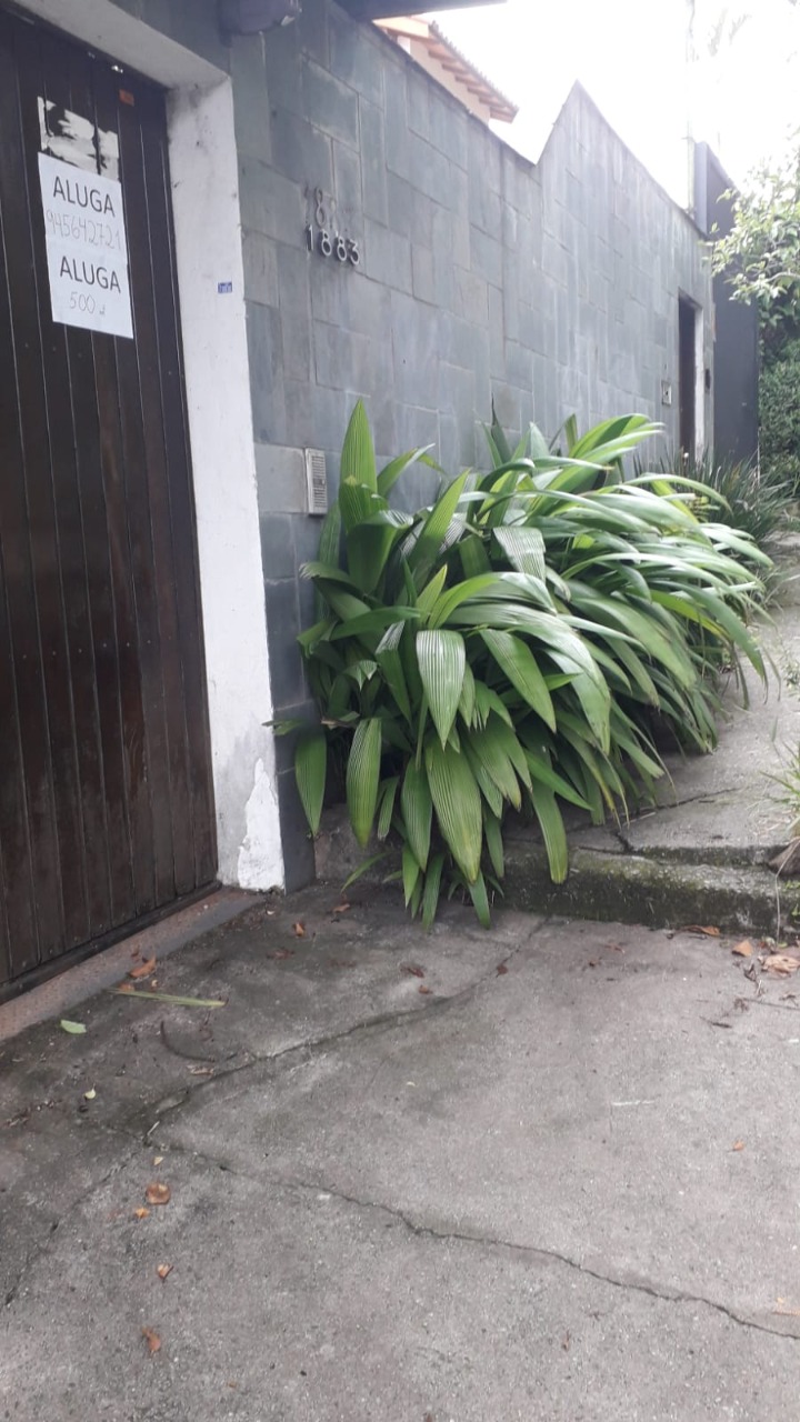 Casa, 7 quartos, 430 m² - Foto 25