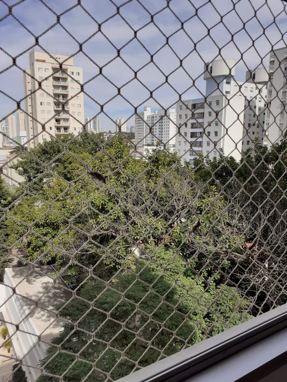 Apartamento, 1 quarto, 50 m² - Foto 13