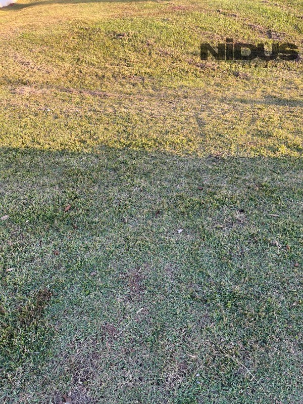 Terreno, 421 m² - Foto 6