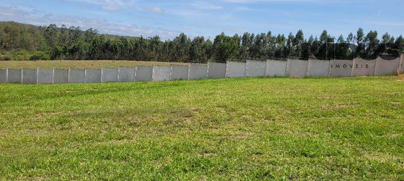 Terreno, 1005 m² - Foto 6