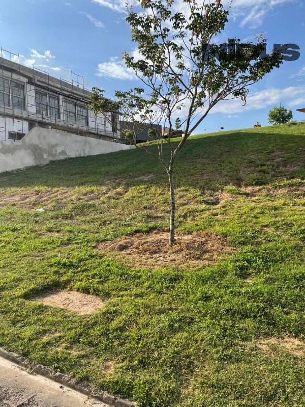 Terreno, 537 m² - Foto 5