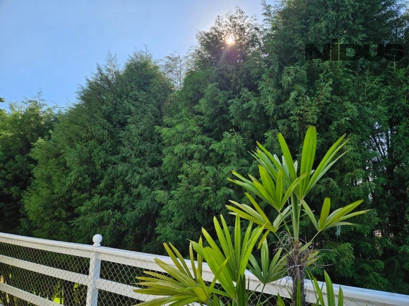 Casa, 3 quartos, 580 m² - Foto 15