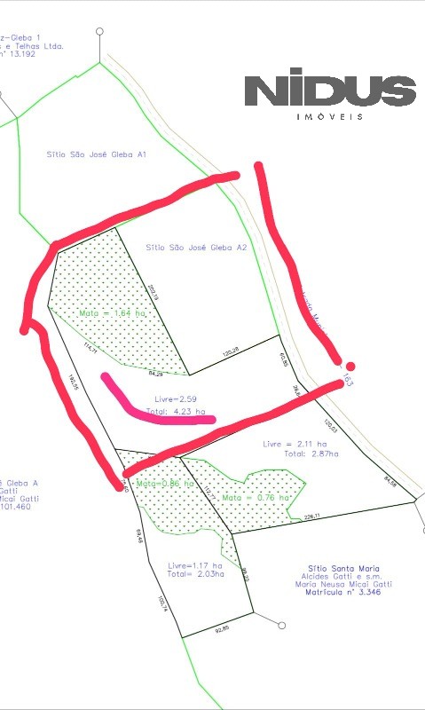 Terreno, 3 hectares - Foto 4