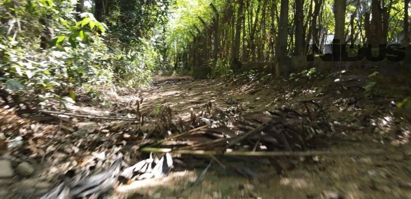 Terreno, 1 hectares - Foto 10